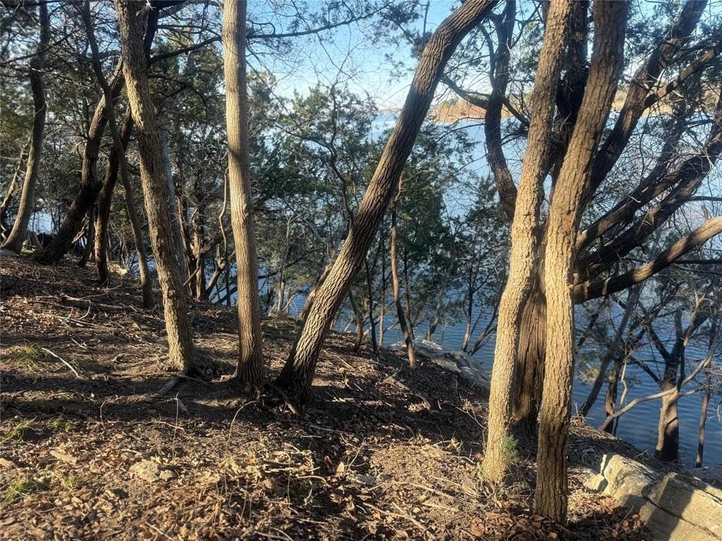 0.34 acres in Hood County - photo 20