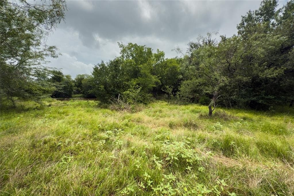 2.2 acres in Falls County - photo 12