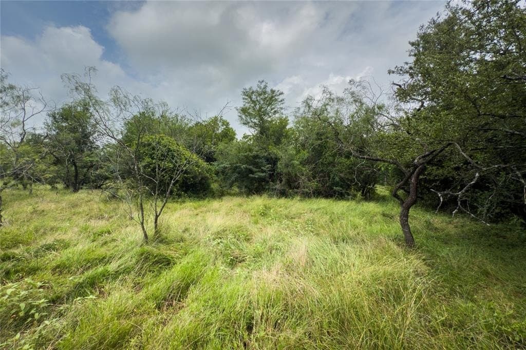 2.2 acres in Falls County - photo 16