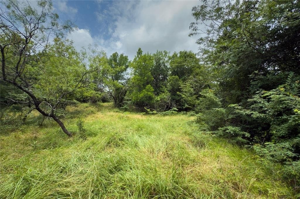 2.2 acres in Falls County - photo 17