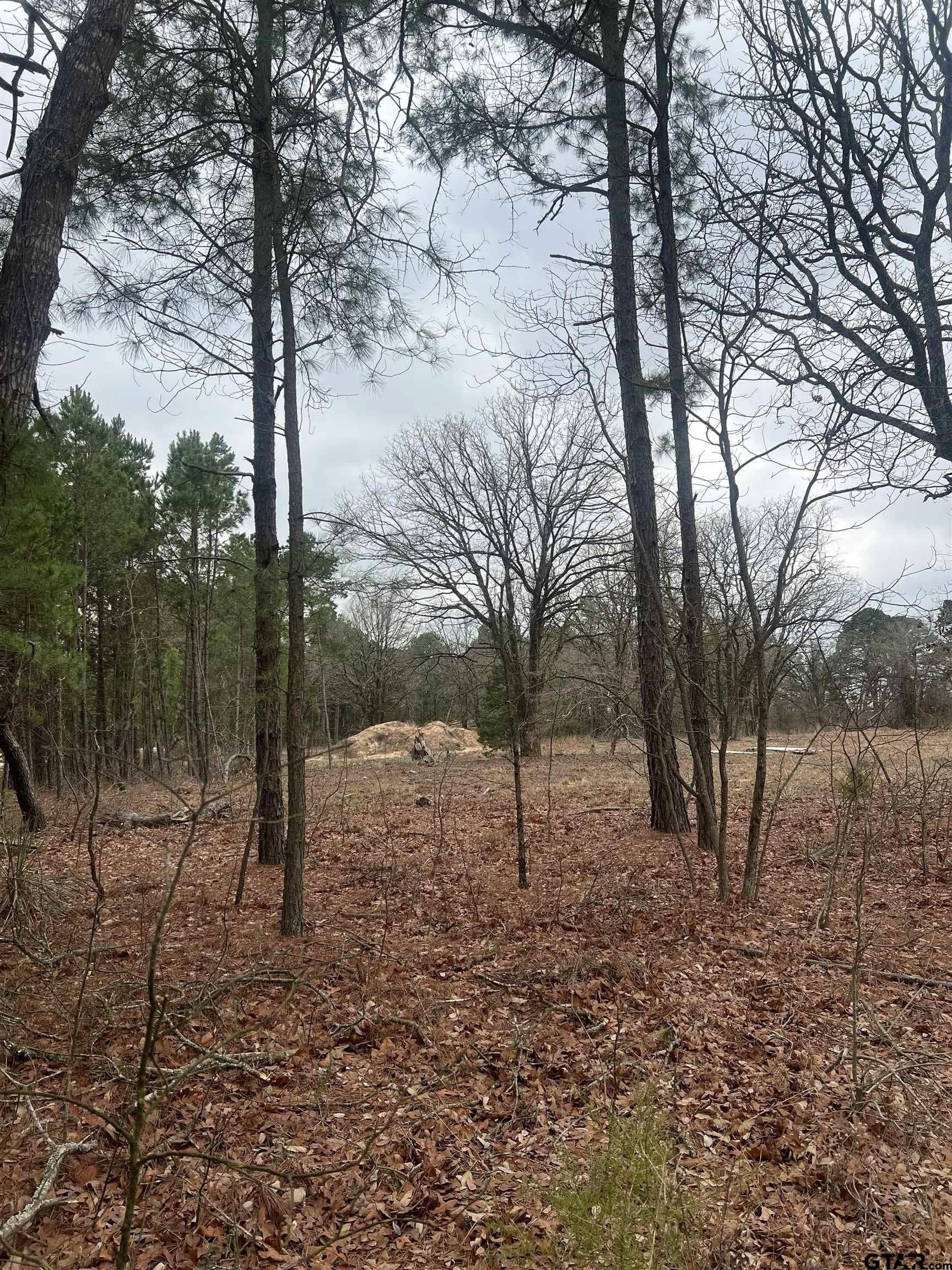 7.96 acres in Smith County - photo 2