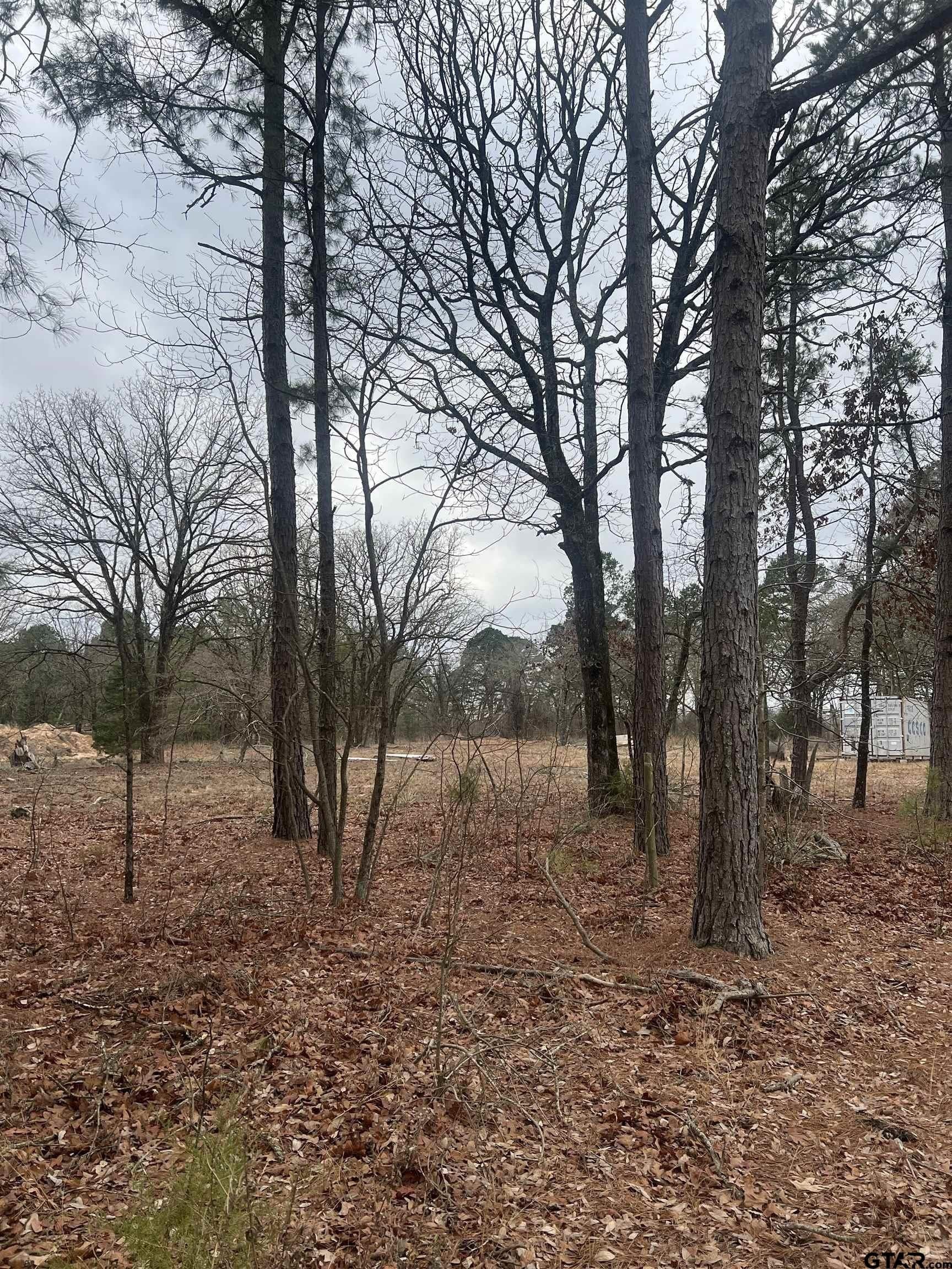 7.96 acres in Smith County - photo 3