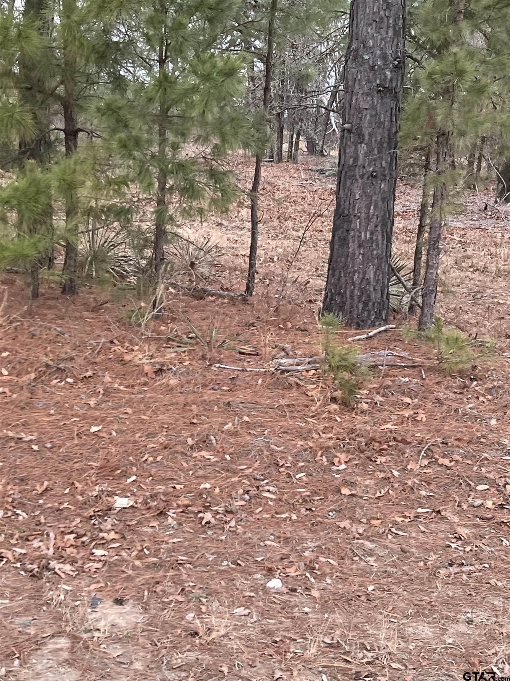 7.96 acres in Smith County - photo 4