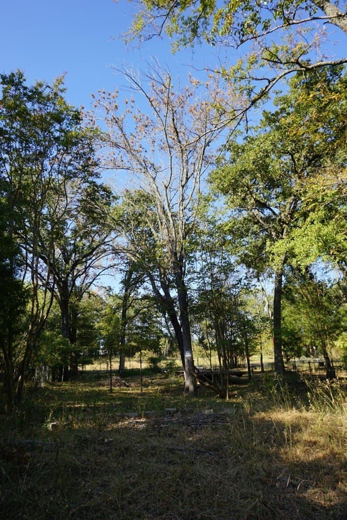 0.25 acres in Henderson County - photo 3