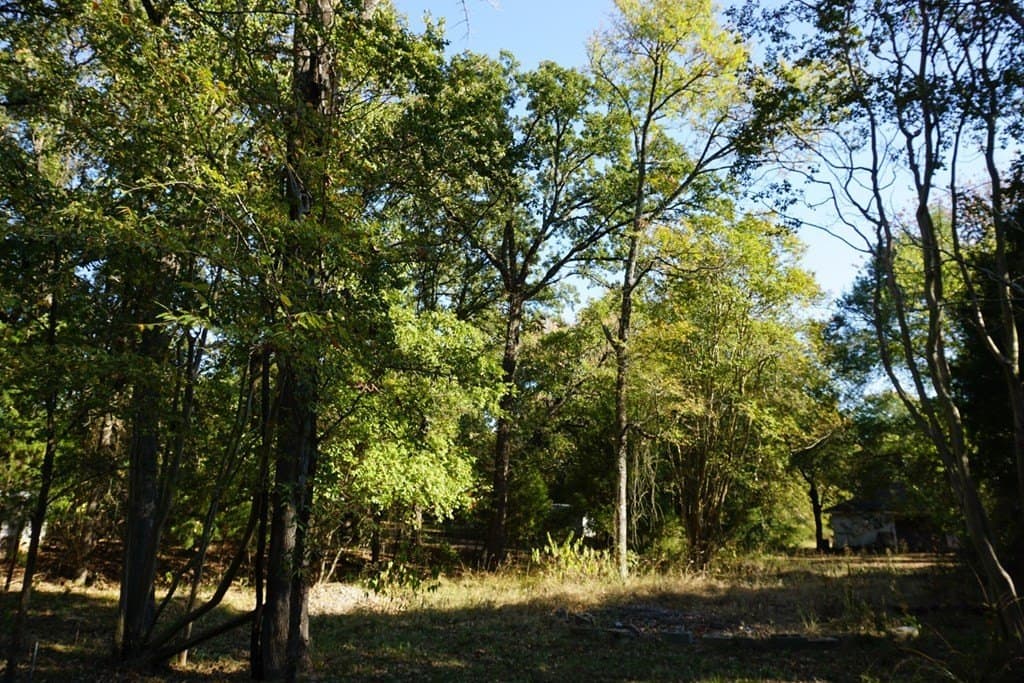 0.25 acres in Henderson County - photo 18