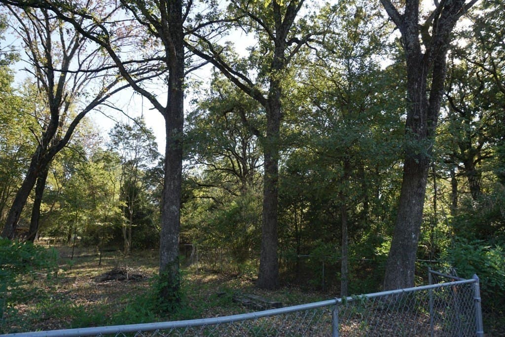 0.25 acres in Henderson County - photo 4