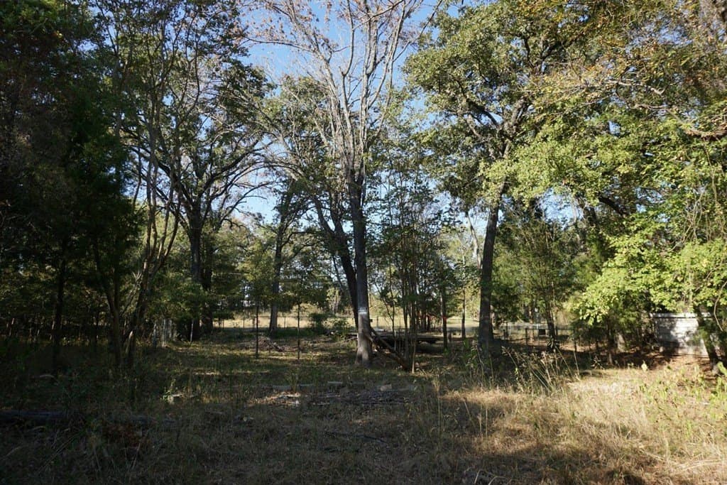 0.25 acres in Henderson County - photo 8