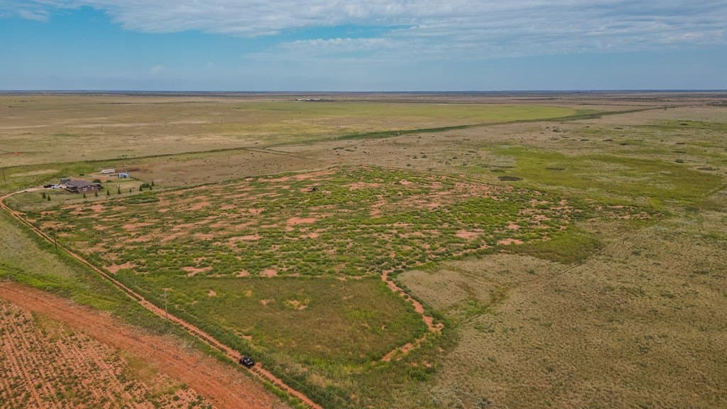 80 acres in Andrews County - photo 8