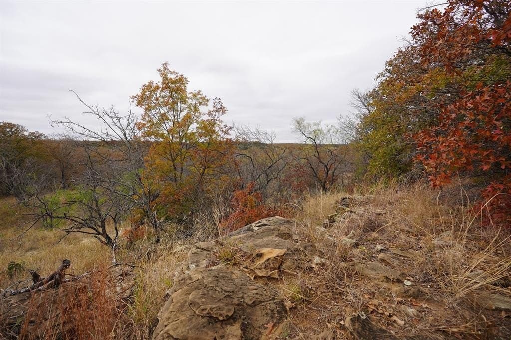 34.02 acres in Comanche County - photo 3