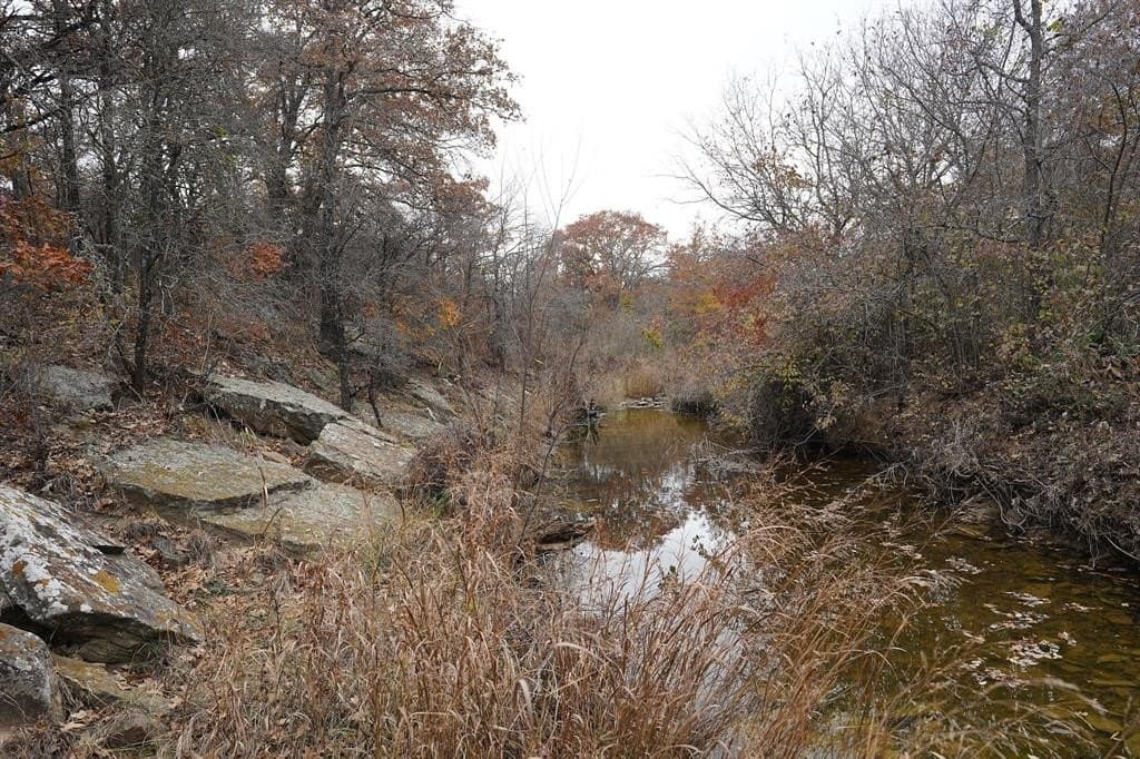 34.02 acres in Comanche County - photo 36