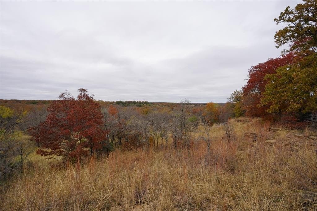 34.02 acres in Comanche County - photo 38