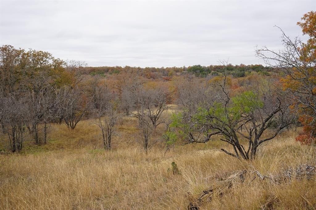 34.02 acres in Comanche County - photo 39