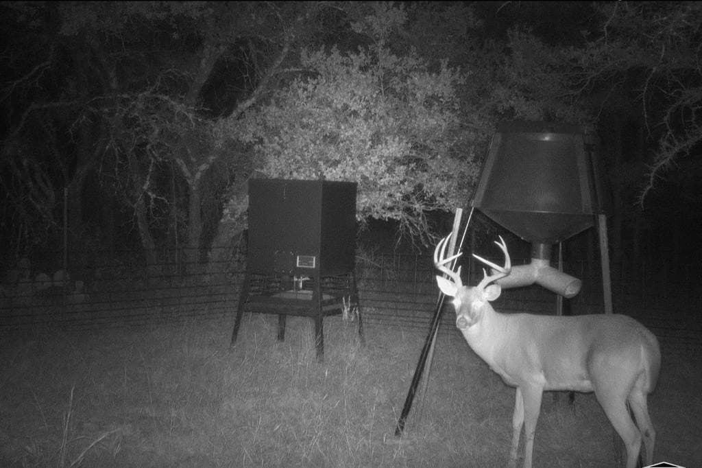 34.02 acres in Comanche County - photo 11