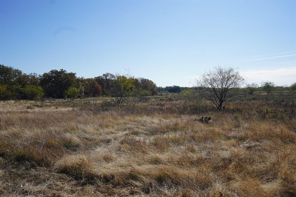 34.02 acres in Comanche County - photo 9