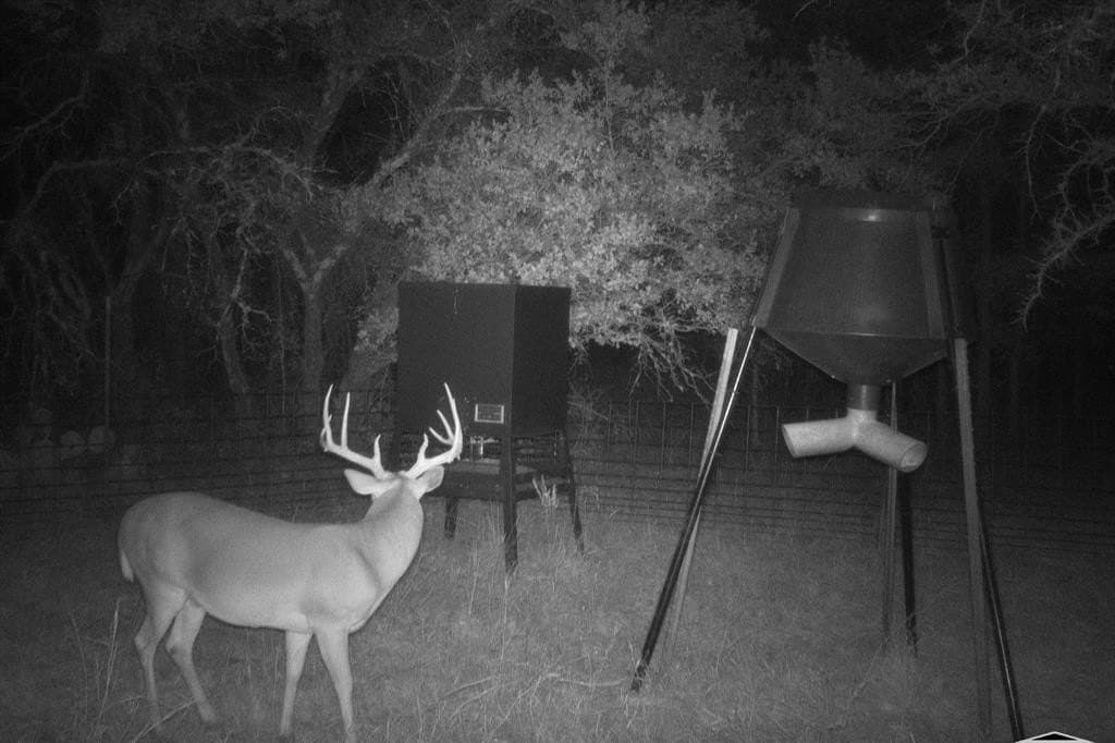 34.02 acres in Comanche County - photo 21