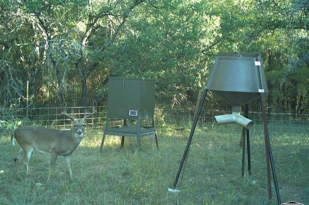 34.02 acres in Comanche County - photo 4