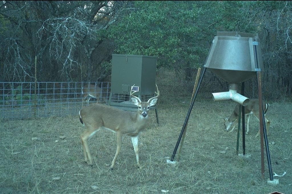 34.02 acres in Comanche County - photo 40