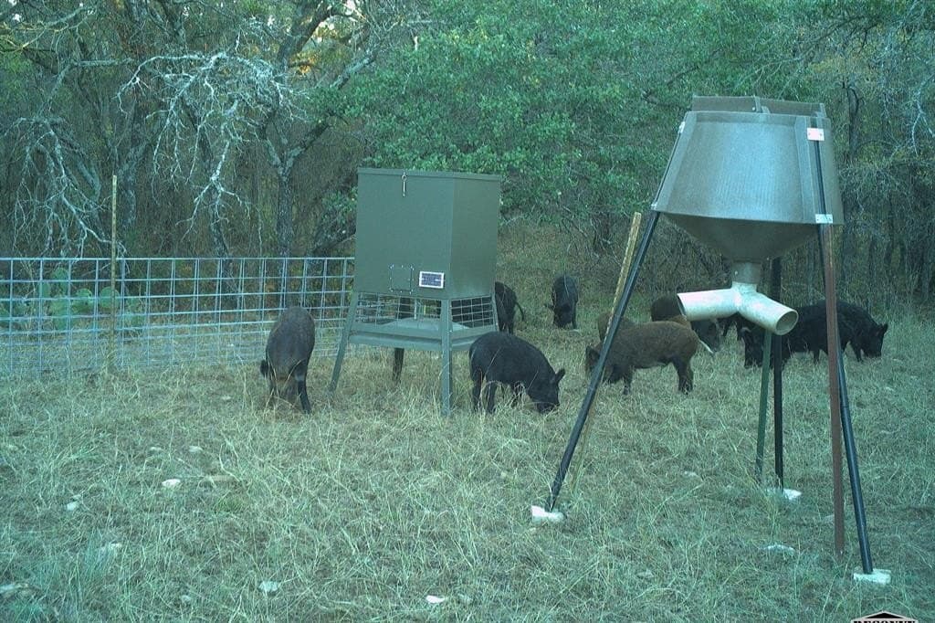 34.02 acres in Comanche County - photo 7