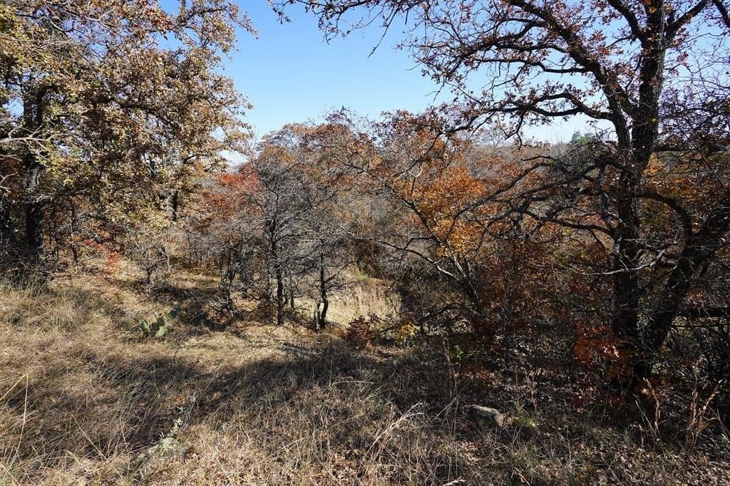 34.02 acres in Comanche County - photo 18
