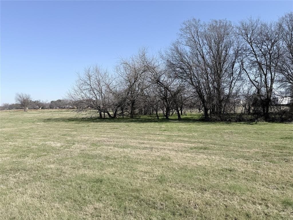 1 acres in Hill County - photo 4
