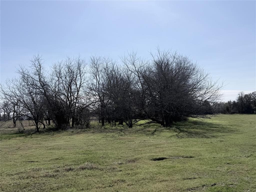 1 acres in Hill County - photo 6