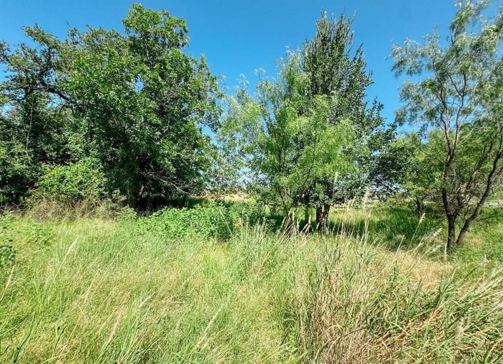 35.99 acres in Brown County - photo 5