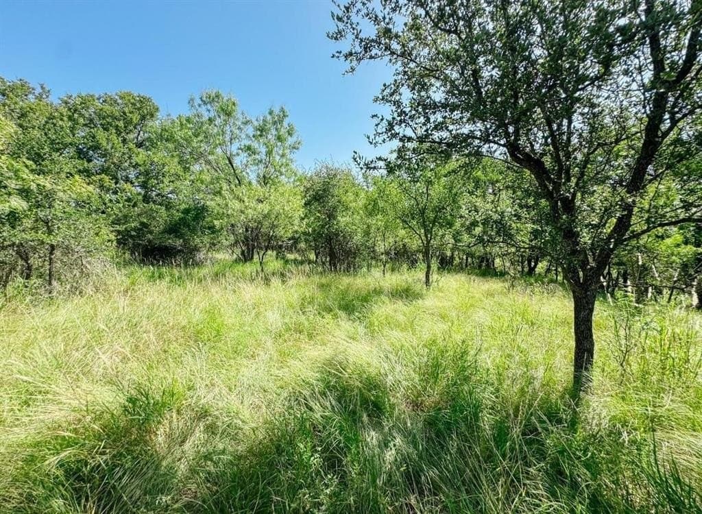35.99 acres in Brown County - photo 4