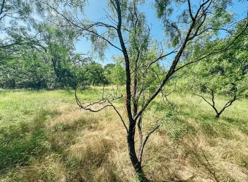 35.99 acres in Brown County - photo 3