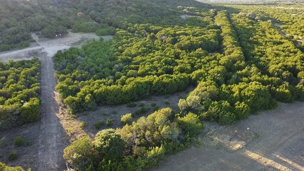10.01 acres in Somervell County - photo 5