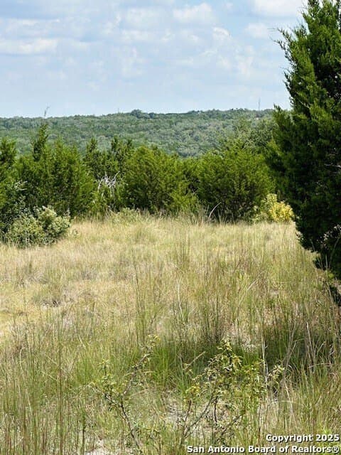 1.28 acres in Comal County - photo 7