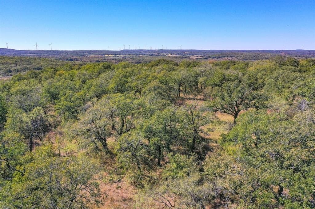 34.38 acres in Jack County - photo 4