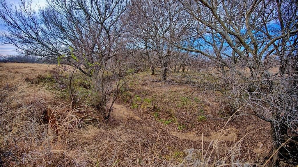 41.3 acres in Montague County - photo 11