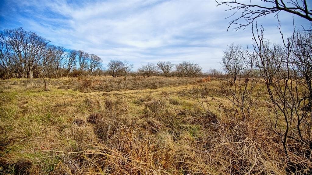 41.3 acres in Montague County - photo 15