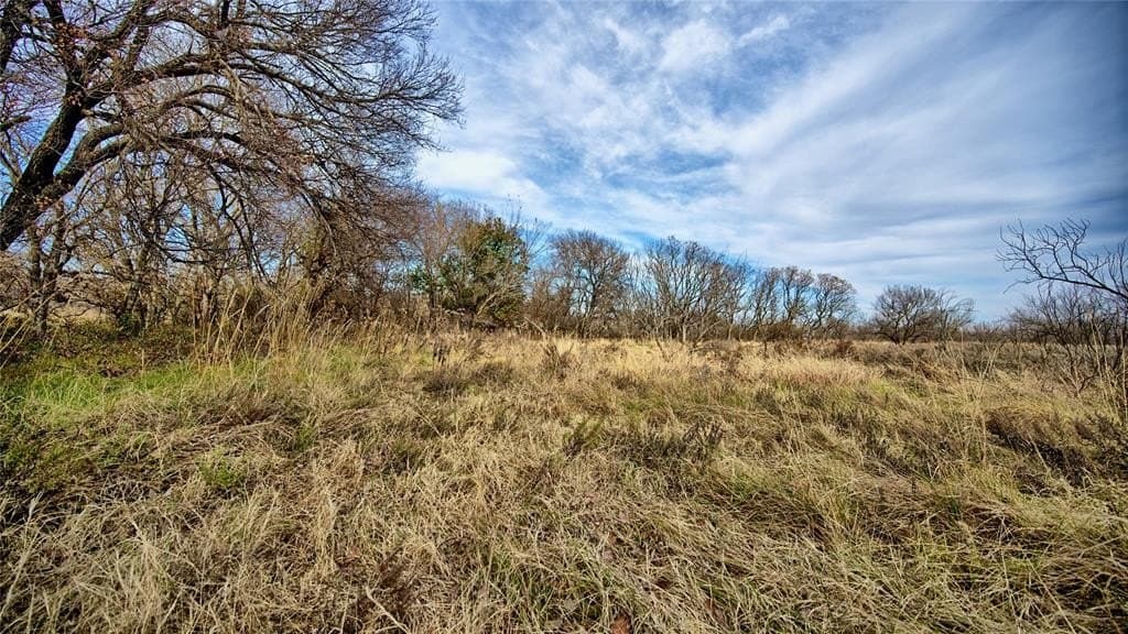 41.3 acres in Montague County - photo 6