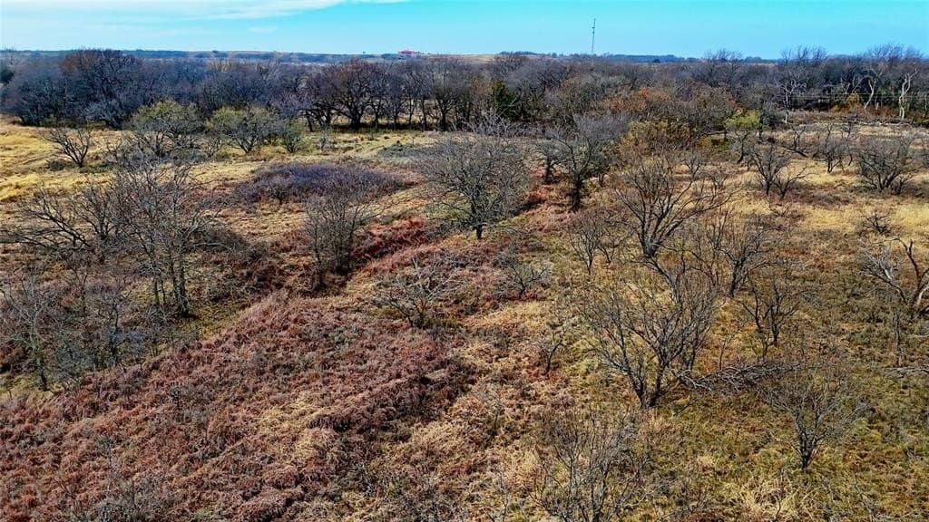 41.3 acres in Montague County - photo 13