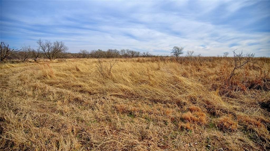 41.3 acres in Montague County - photo 19