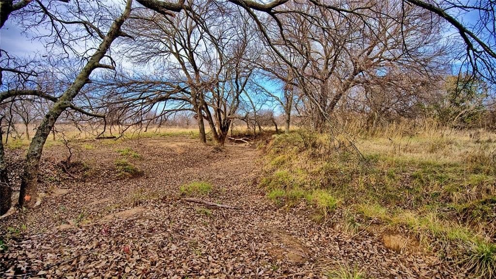 41.3 acres in Montague County - photo 20