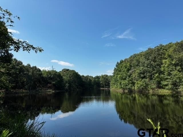 125 acres in Van Zandt County - photo 4