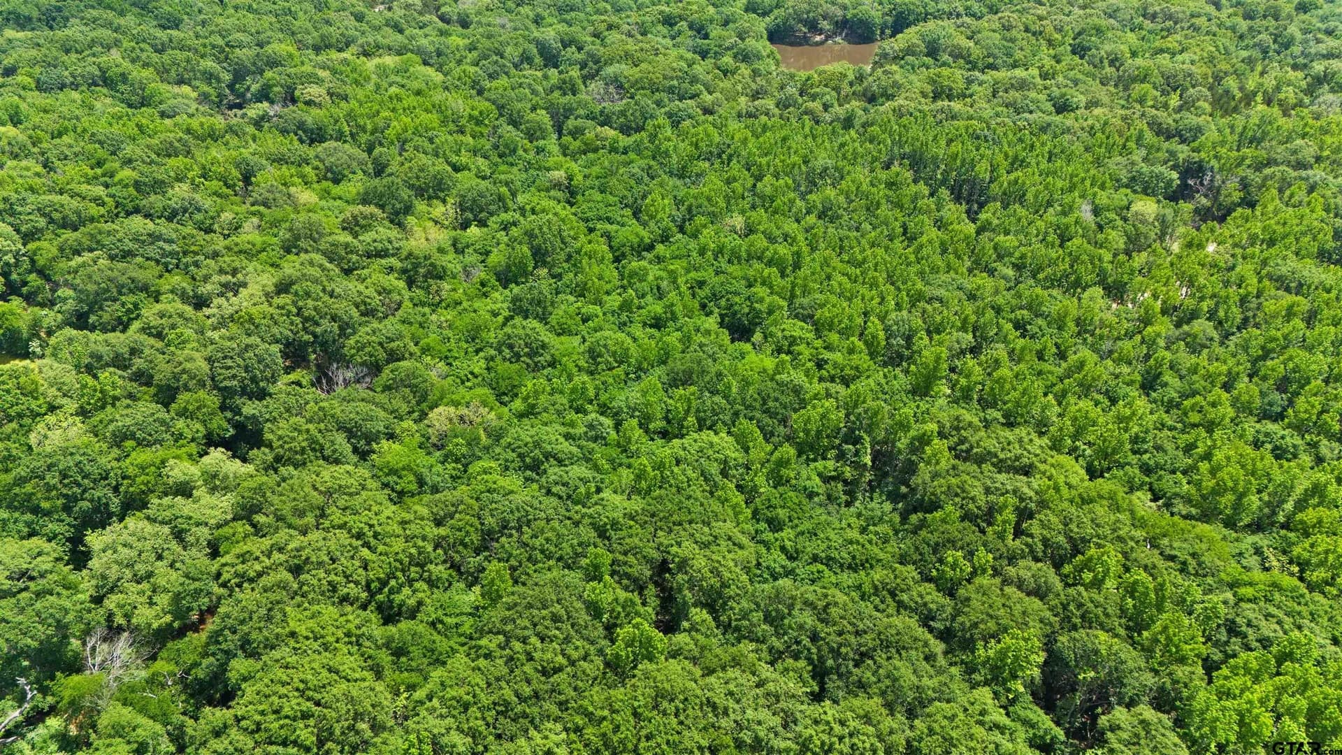 125 acres in Van Zandt County - photo 17