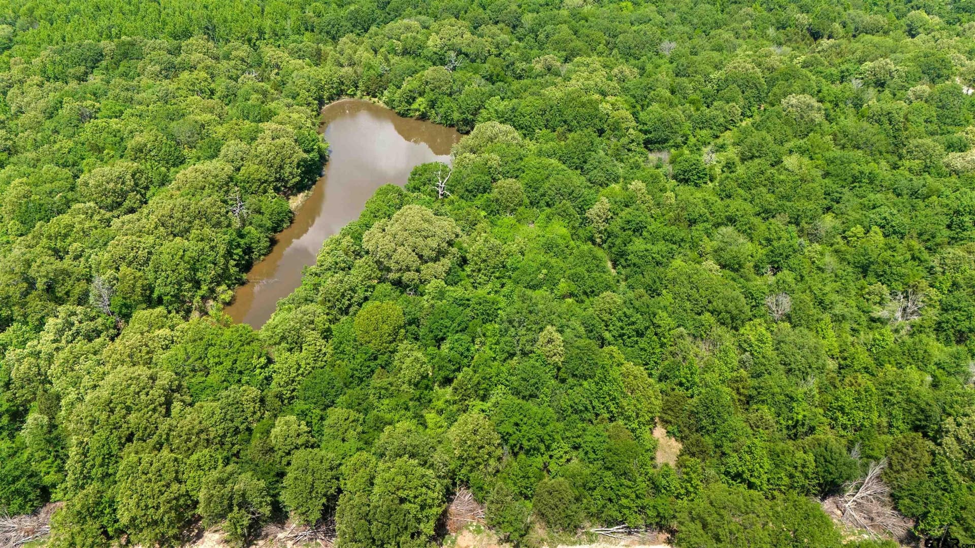 125 acres in Van Zandt County - photo 9