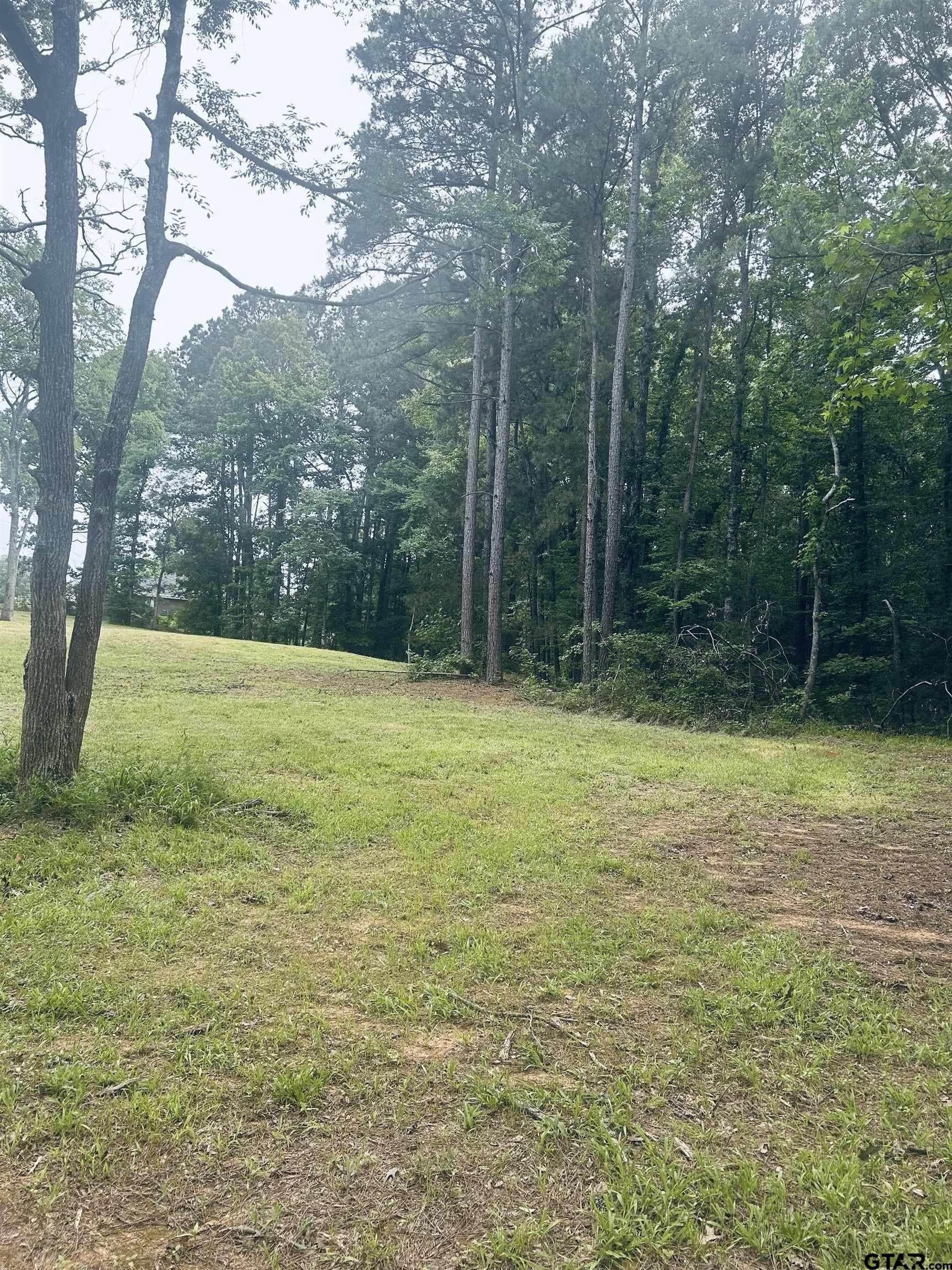 1.84 acres in Smith County - photo 4