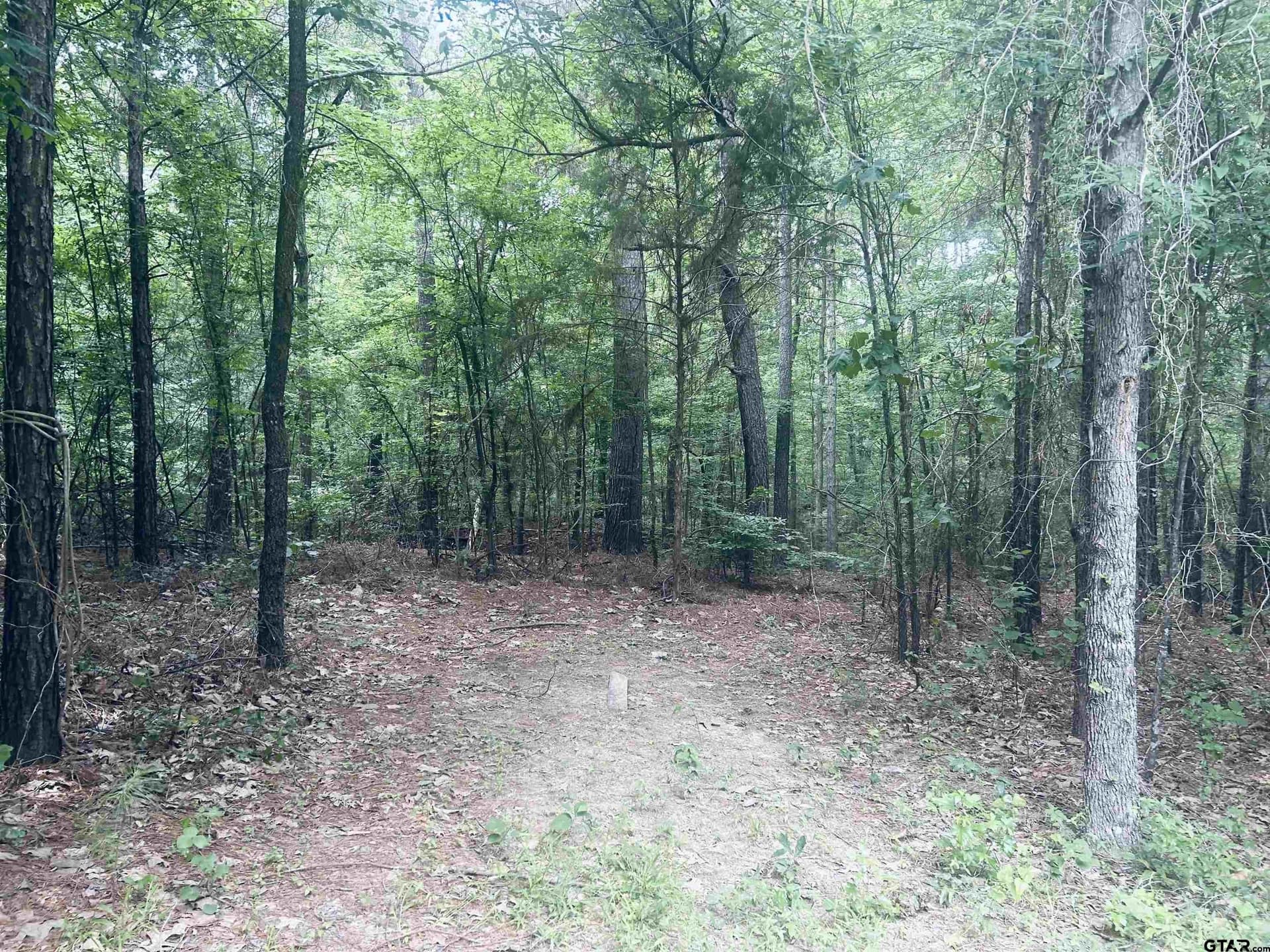 1.84 acres in Smith County - photo 7