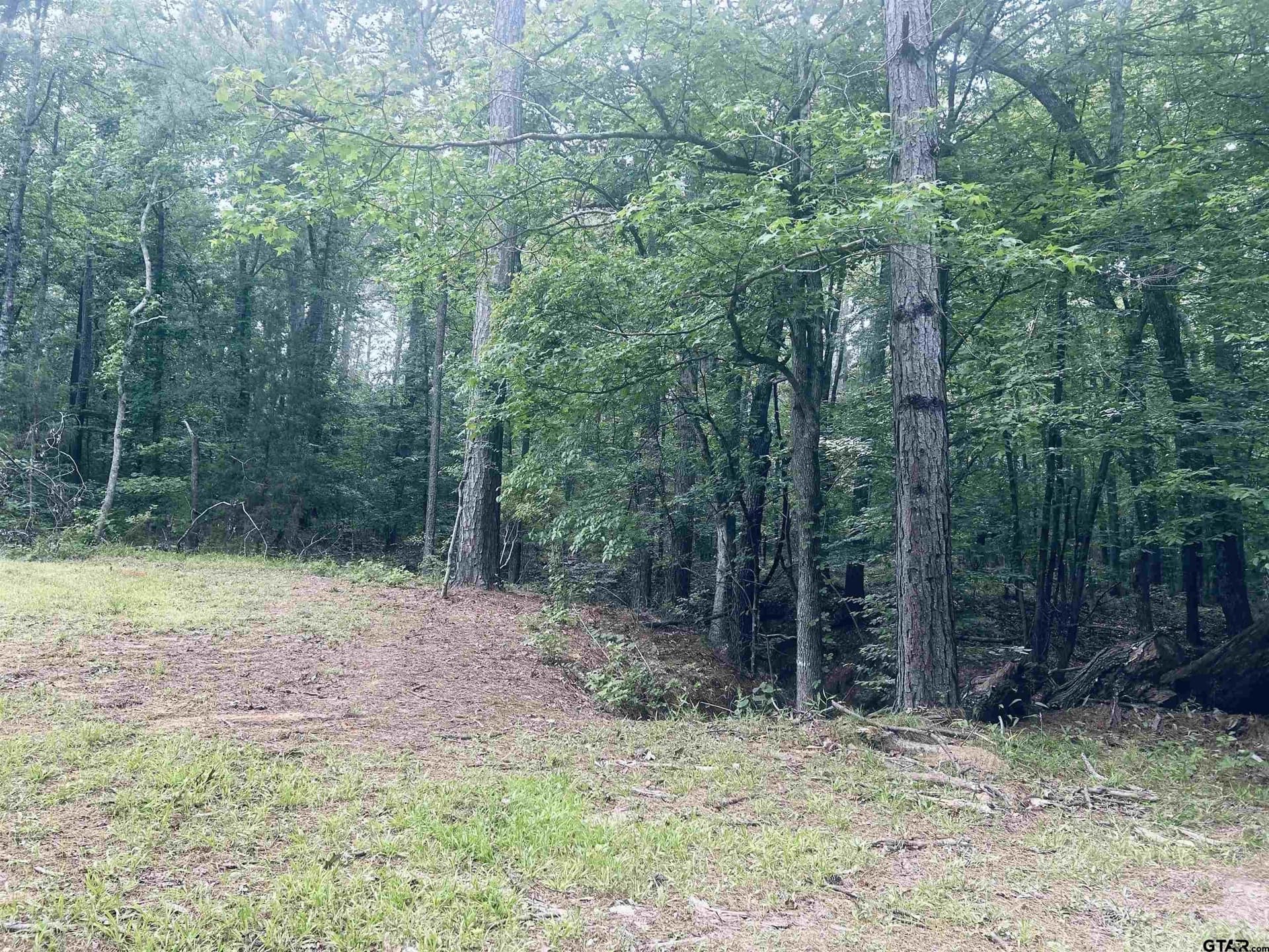 1.84 acres in Smith County - photo 5