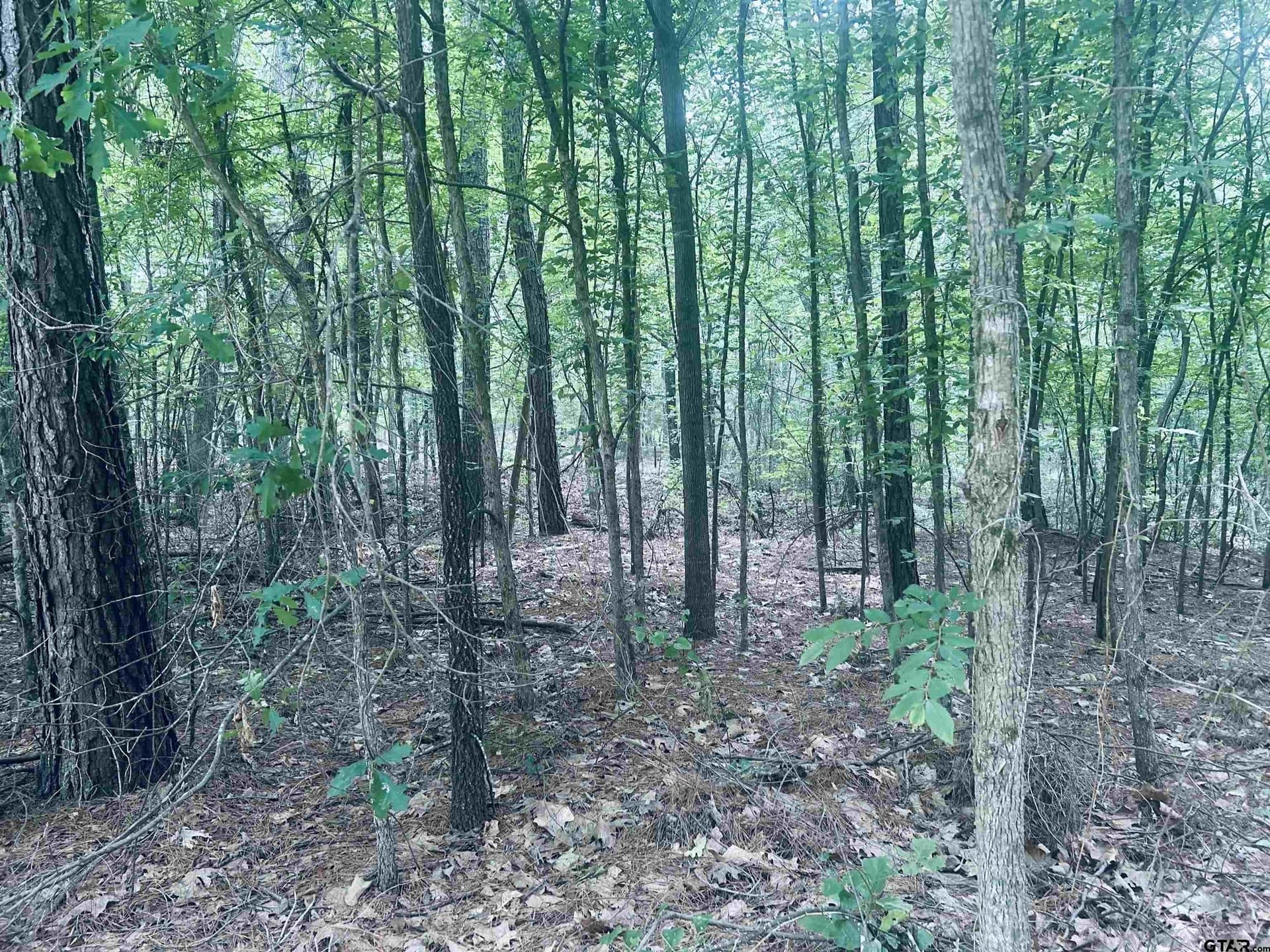 1.84 acres in Smith County - photo 8