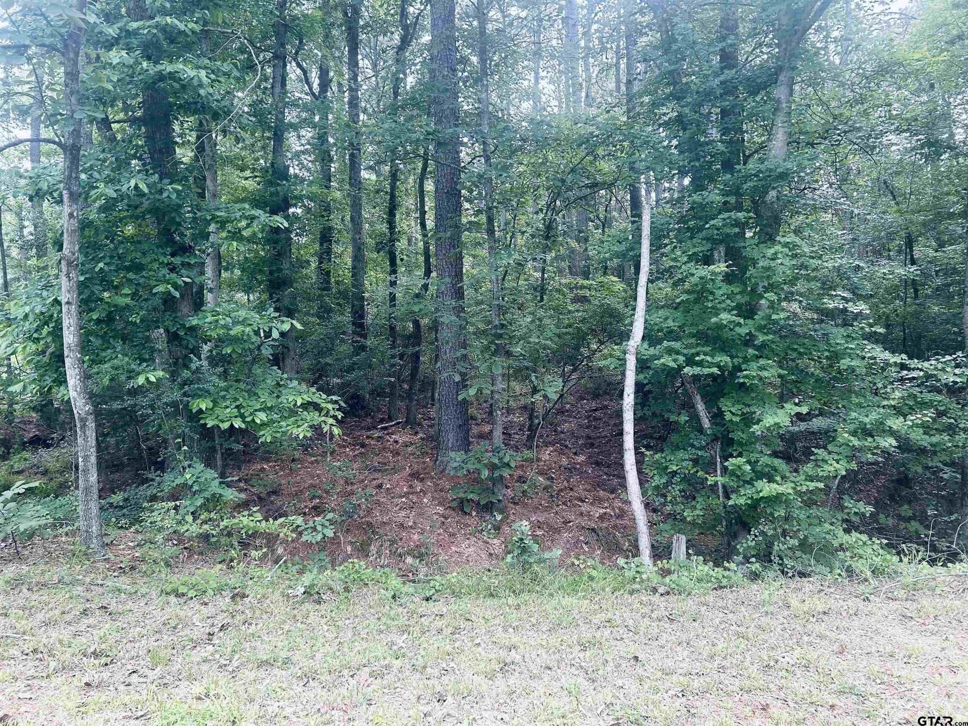 1.84 acres in Smith County - photo 9