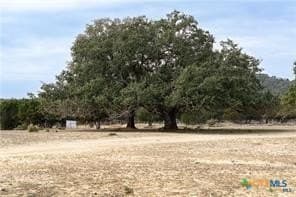 10 acres in Bell County - photo 3