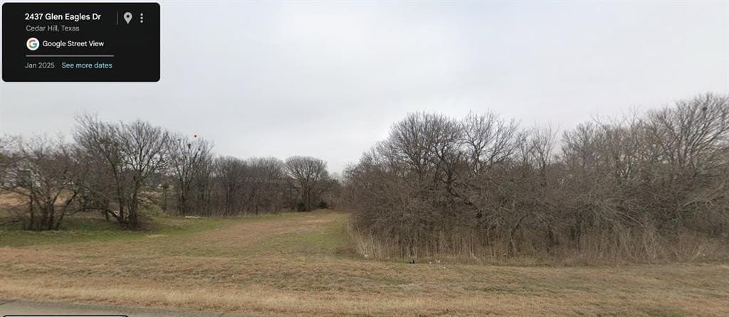 3.25 acres in Dallas County - photo 5