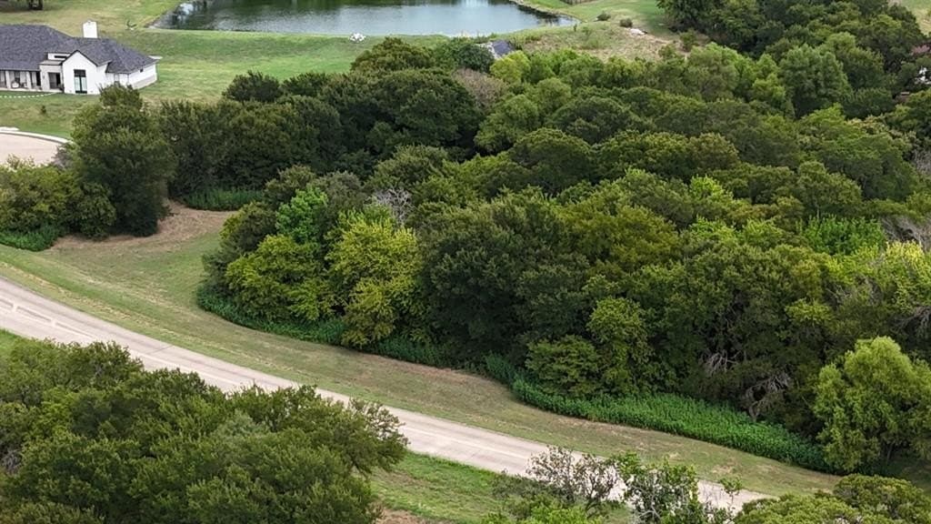 3.25 acres in Dallas County - photo 2