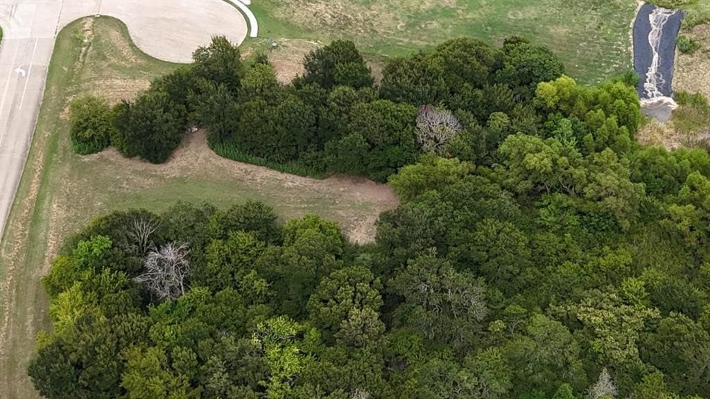 3.25 acres in Dallas County - photo 4