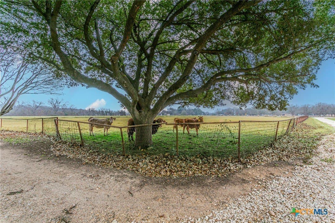 18.37 acres in Bell County - photo 22